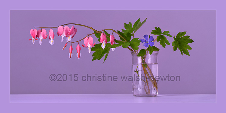Flowers 1 Final B-web